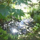 Sauna Stream